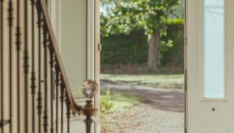 Bordeaux, Gironde, Océan - Gîte au coeur des vignes - Foto 4