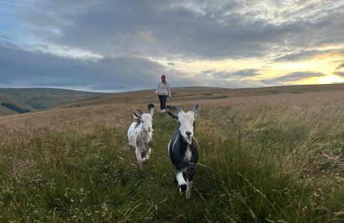 Wild boar barn - Foto 23