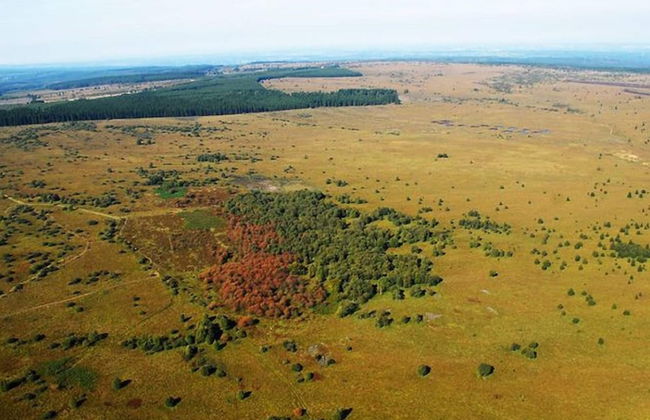 Malmedy Forestside Home - Photo 34