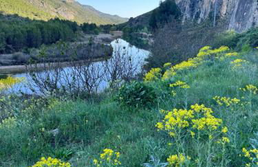 Alcarria , Casa del Agua - Foto 65