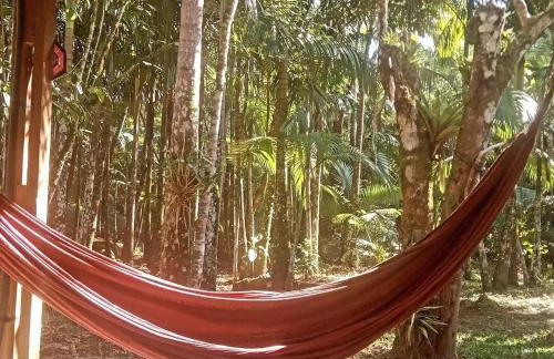 Chalé Saíra - casa simples no meio da Mata Atlântica! - Photo 19