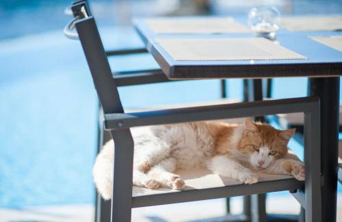 Corinna Mare - Foto 54