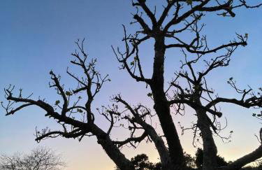 Chalet playa Rianxo - Foto 63