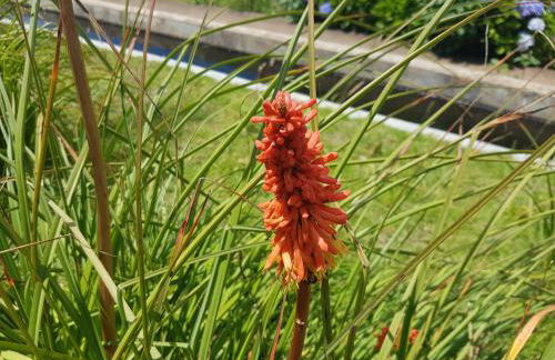 Quinta Frizado - Foto 47