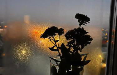 Noclegi u Zosi - Foto 2