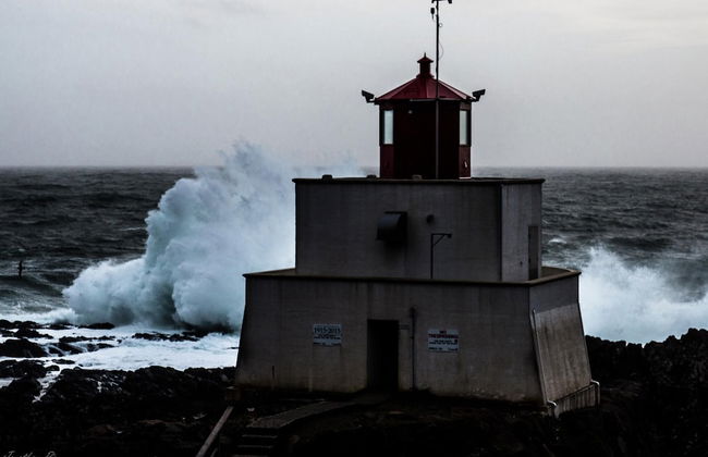 Black Bear Cottage - Photo 22