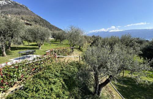 La Casetta - Foto 20