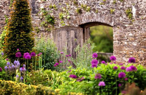 Pen-Y-Graig Cottage Llandeilo - Foto 28