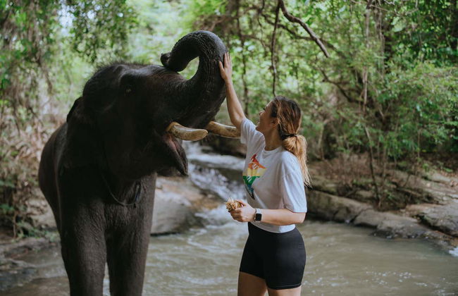 Excursão a uma protetora de elefantes - Foto 2