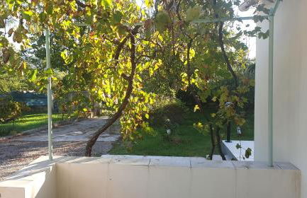 location saisonnière - Foto 18