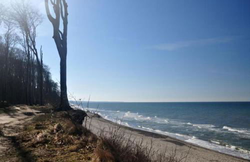 Große Freiheit - Foto 18