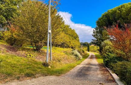 La Truffe Rose - Foto 44