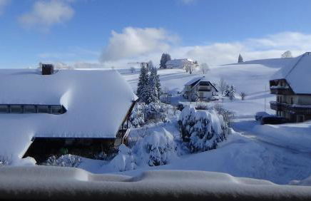 Happy Big Family - Foto 18