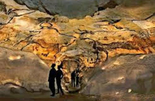 Les pruniers de la cipière - Foto 74