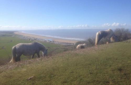 Ocean Drive BOUTIQUE Apartment Adults only Dog friendly - Foto 55