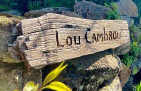 Lou Cambrou - Photo 17