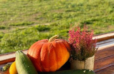 Reset w górach - Foto 37