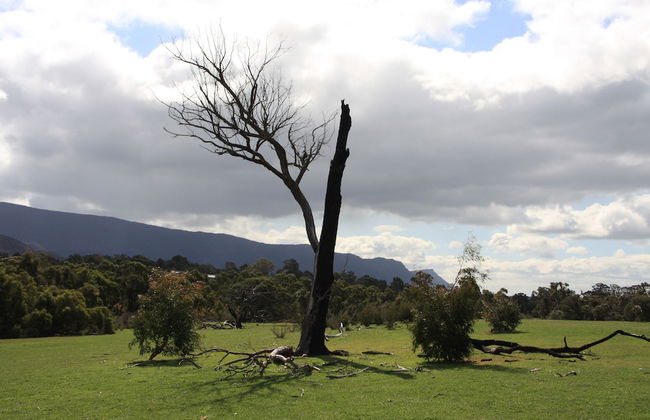 Boroka Downs - Photo 37