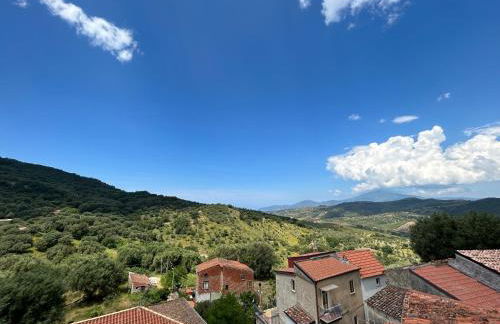 Corte degli Ulivi - Foto 19