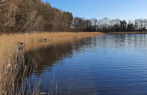 Lawendowa Malanówka - domek nad jeziorem - Foto 20