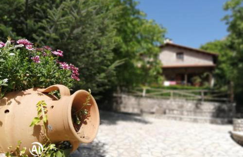 Petrina Theohari - Foto 27