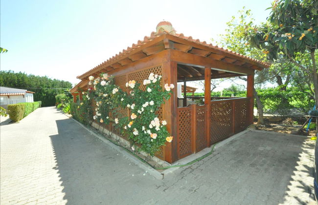 Flor da Laranja - Foto 46