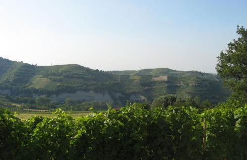 Agriturismo Cascina Serra - Foto 17