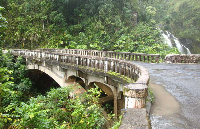 Tour por la carretera de Hana - Foto 6