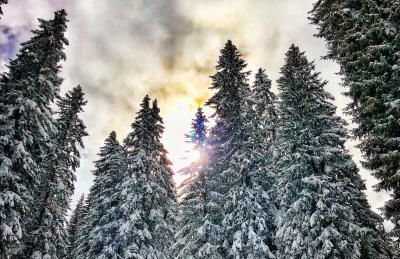 Appartement Studio Avoriaz - Photo 12