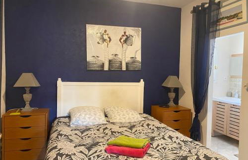 Villa Soleil Piscine Jacuzzi Pétanque Espace bbq billard et salons extérieurs - Foto 39