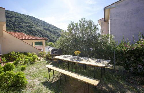 Bougainvillea Primo Piano - Goelba - Foto 45