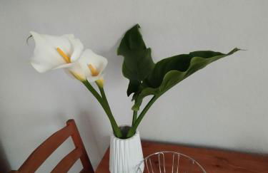 OLYMPUS HILL - Foto 61