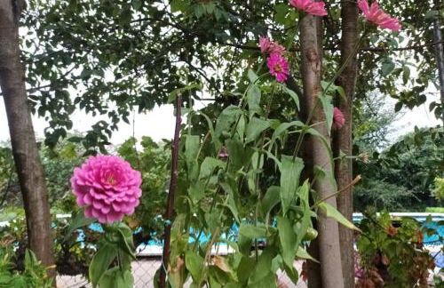 Finca Marina Turismo Rural - Foto 3