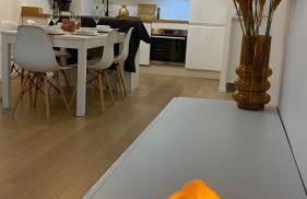 Nice and cosy flat near Geneva or Annecy - Foto 1