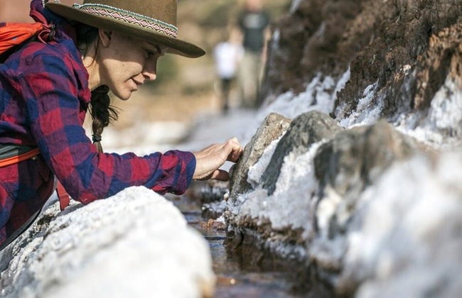 Visite privée d'une demi-journée d'Ollantaytambo et de Pachar - Photo 5