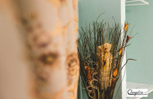 CHAPLIN Luxury Holiday House - Photo 30