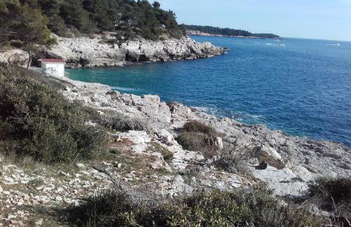 Apartments Demori - Foto 58