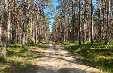 Mila Morska Kopalino - Foto 60