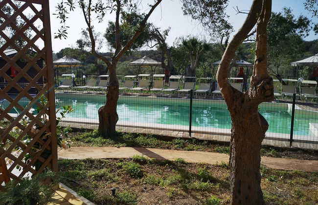 la corte degli ulivi - Foto 56