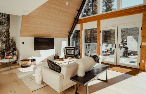Haute Haus Aframe in Alma Colorado - Photo 1