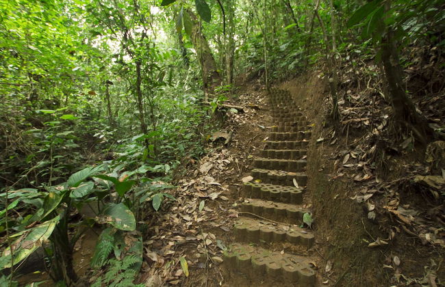 Villas Josipek - Foto 69