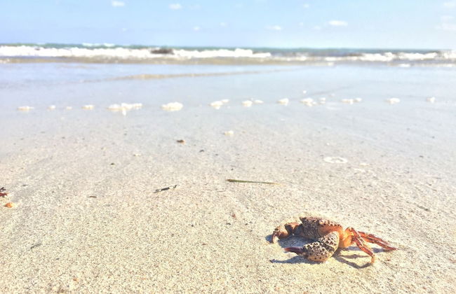 Centro Vacanze Lido Smeraldo - Foto 23