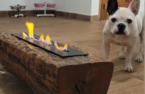 Pousada Sonho do Campo - Foto 47