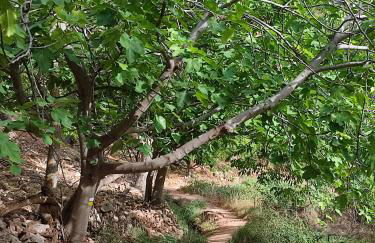 El Cantón - Alojamiento Rural - Foto 59