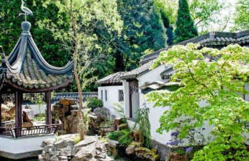 Suburban Jungle - Foto 56