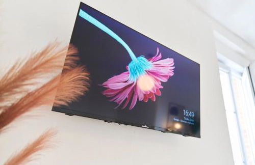 La Trilogie Choletaise Netflix, Prime Video, Disney plus - Foto 14