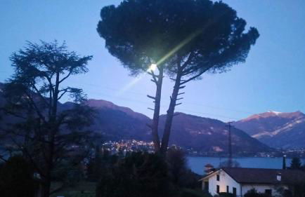 Villa Rosi - Foto 33