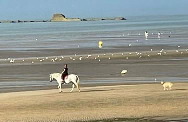 Plage du Débarquement. Maison bord de Mer - Photo 27