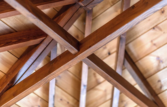 D Palm Premium Living - Foto 10