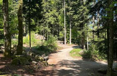 Ferienglück Geyersberg - Foto 49